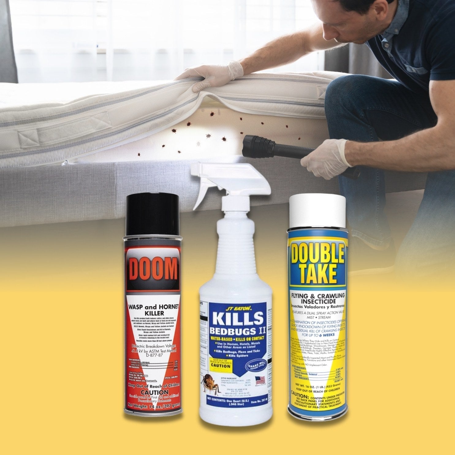 Insecticides and Bed Bug Treatments