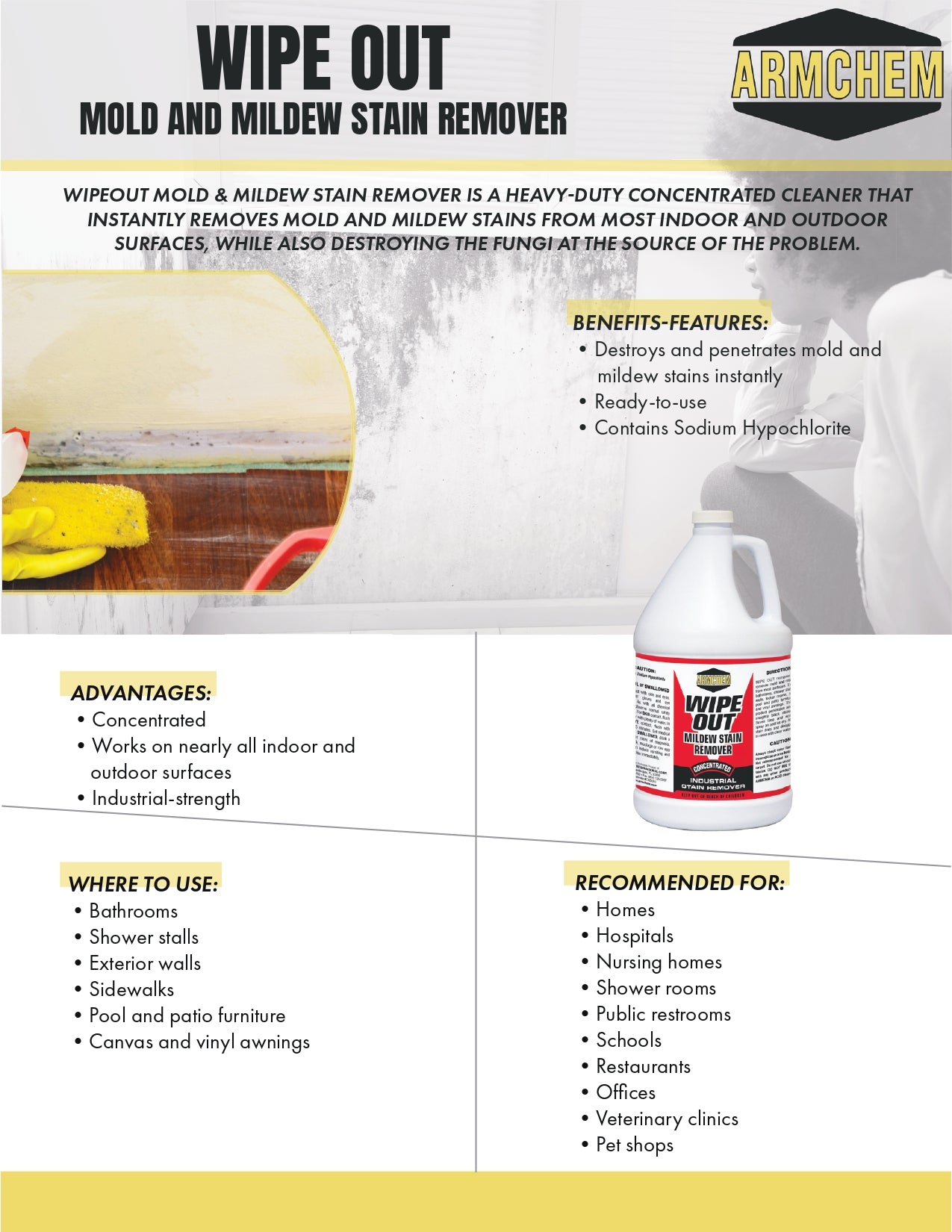 WIPEOUT Mold and Mildew Stain Remover